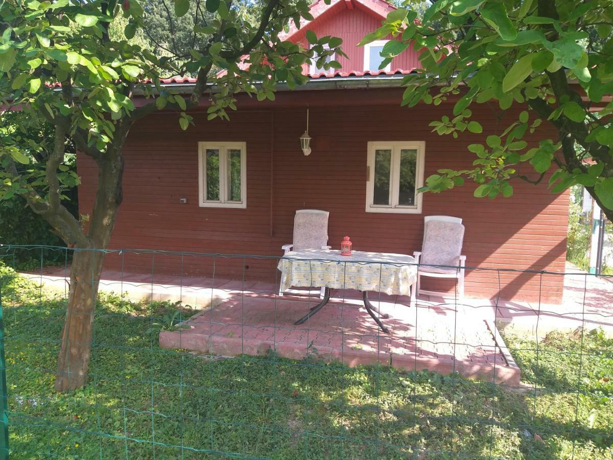 Rustic Country House In Snagov Apartman Kültér fotó